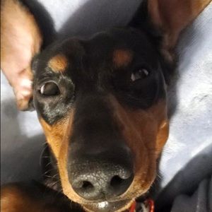 Meet your Posher, Crystal